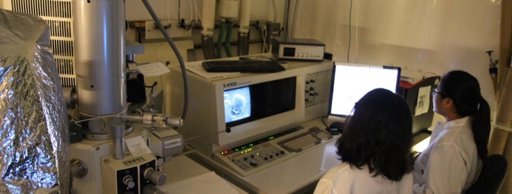 Researchers using the Hitatich S4100 Scanning Electron Microscope